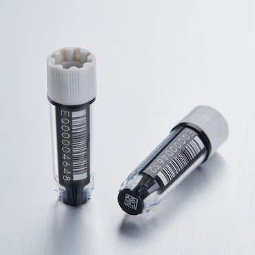 艾本德Eppendorf CryoStorage Vial, 0.5 mL, 不含 DNase、RNase、人類 DNA 和內(nèi)毒素；外螺紋，預(yù)先加蓋灰色管蓋，帶 2D SafeCode (DataMa
